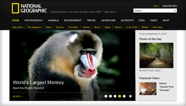 手机号自动轰炸